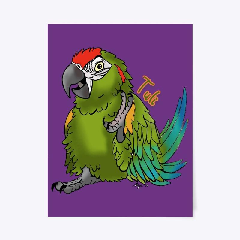 Tuli the Red fronted Macaw 