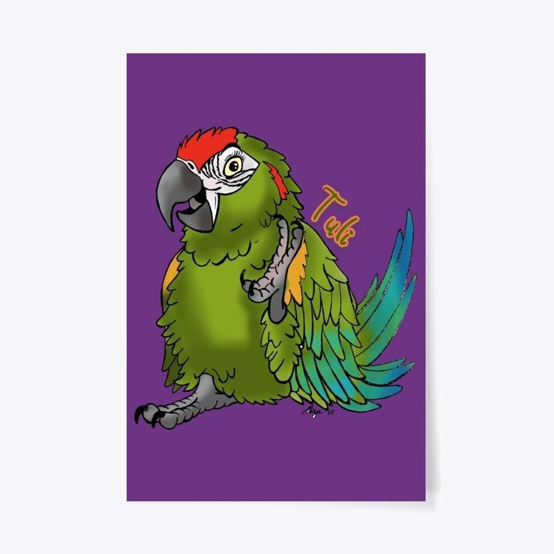 Tuli the Red fronted Macaw 